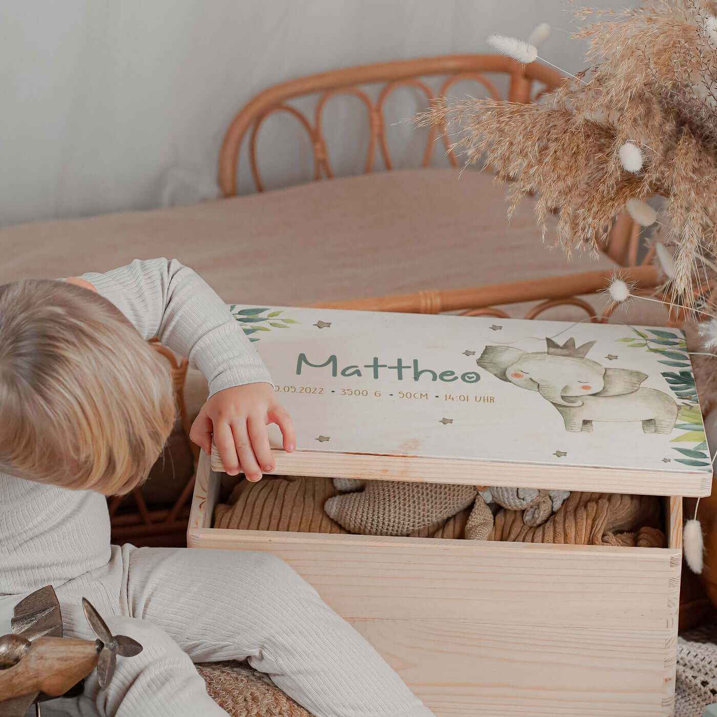 Erinnerungsbox Baby - Jungle Elefant