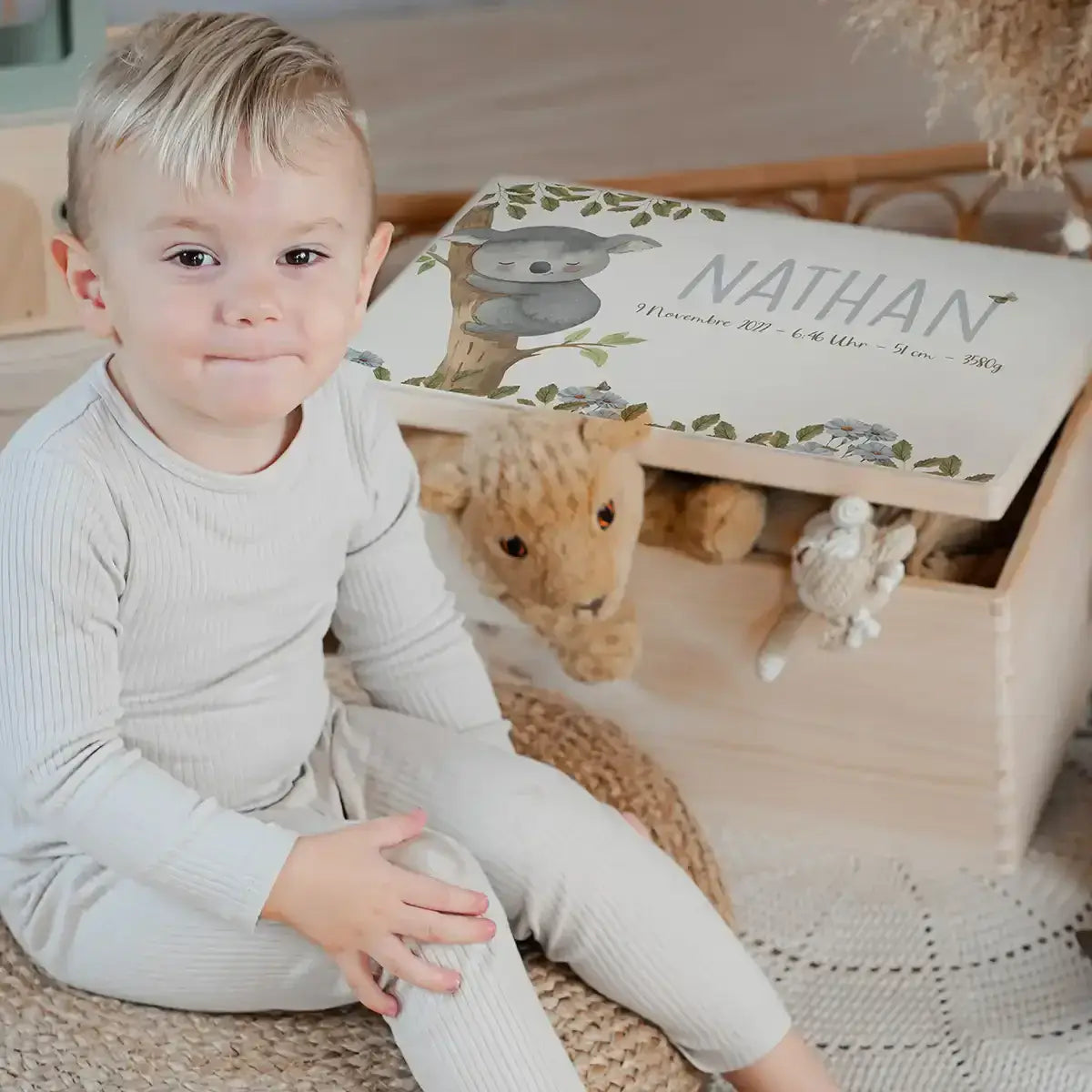 Erinnerungsbox Baby Koala