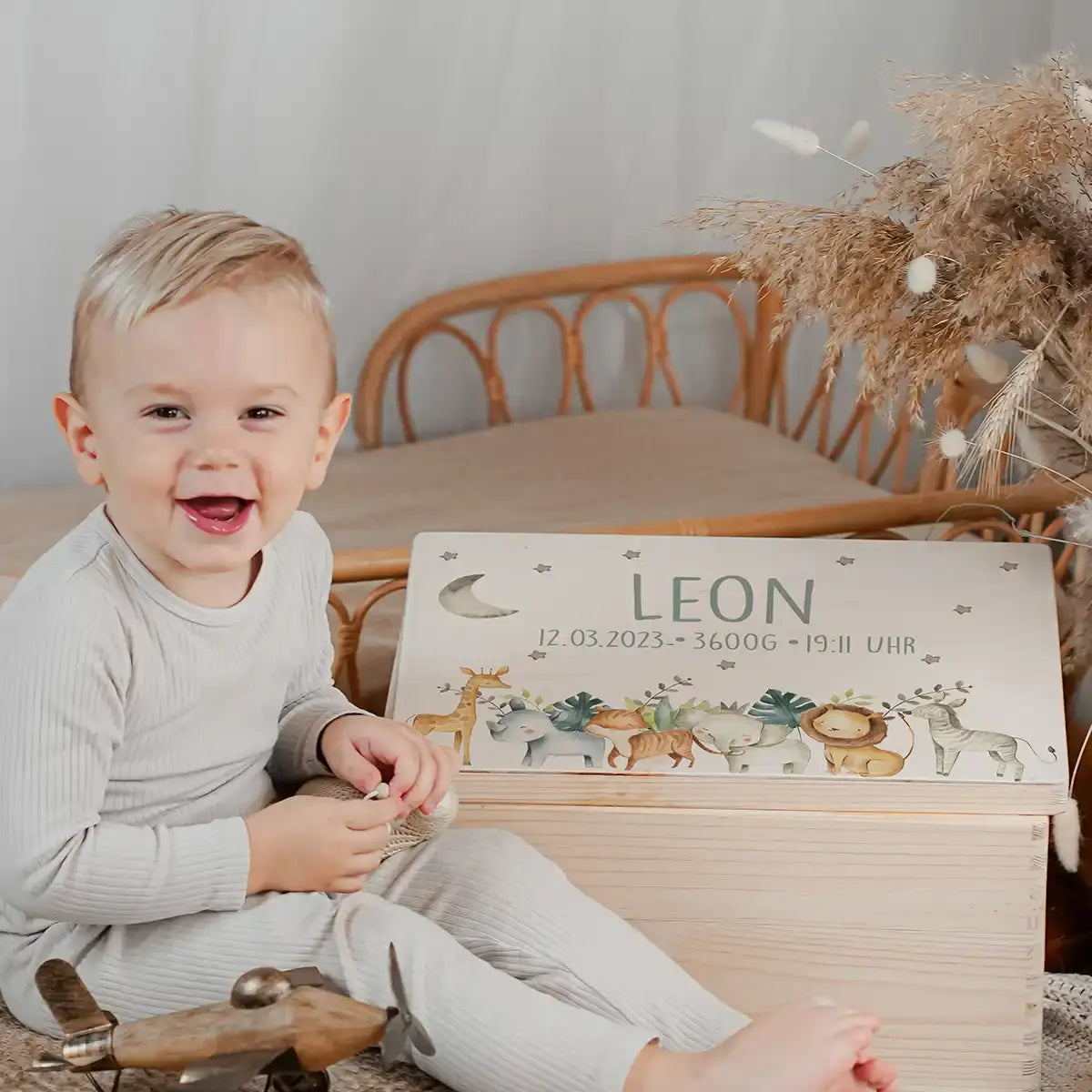 Erinnerungsbox Baby - Jungle Tiere