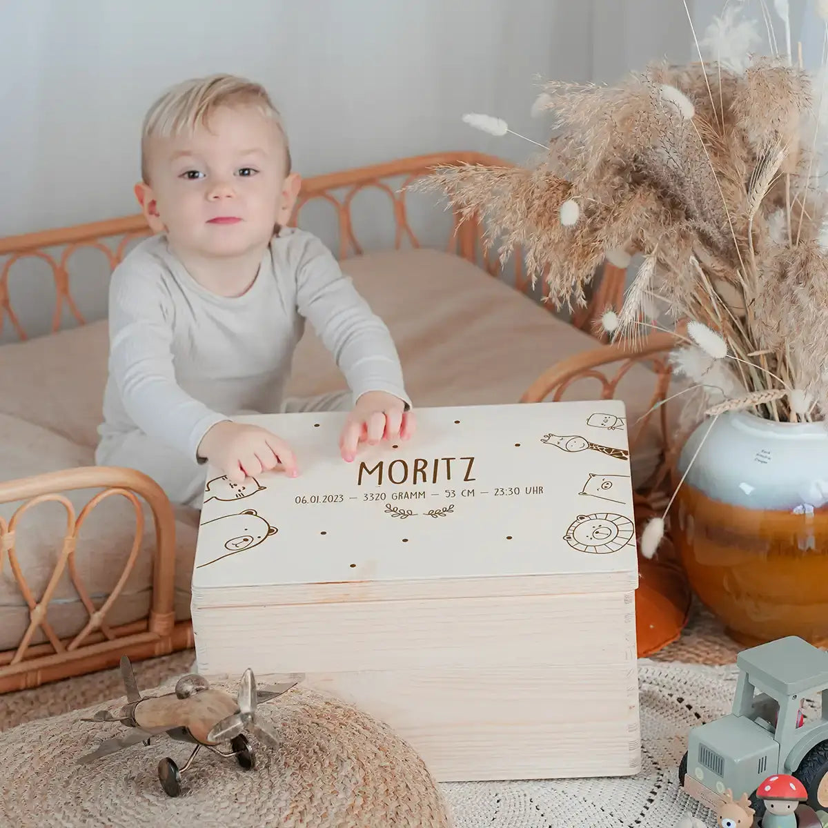 Erinnerungsbox Baby -  fröhliche Tierfamilie