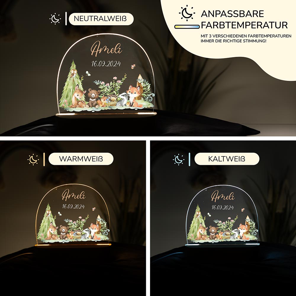 Nachtlicht Kinder personalisiert Weihnachten - Tierbande